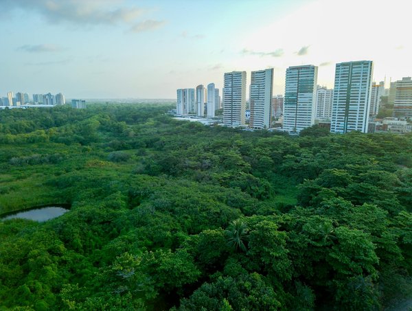 Taxi lamorlaye : vos déplacements personnels en toute sérénité